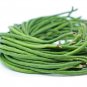 Rsslyn 50pcs Seeds Yardlong Beans Snake Bean Seeds Organic Beans Sitaw Tagalog Ilokano Utong