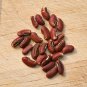 Rsslyn 50pcs Seeds Yardlong Beans Snake Bean Seeds Organic Beans Sitaw Tagalog Ilokano Utong