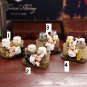 Rsslyn Cute Chef Design Apartment Kitchen Collection 3pcs/SET Salt and Pepper Shaker and Holder