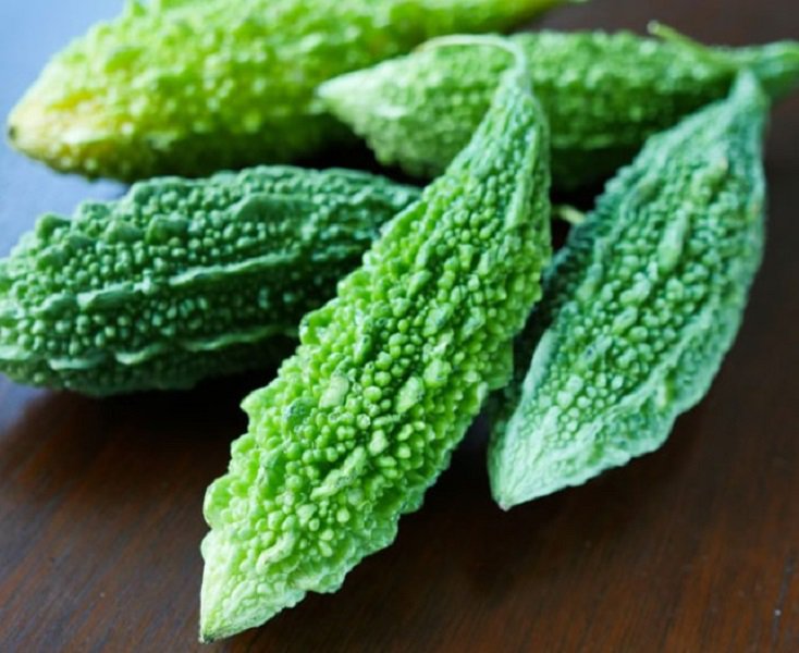 Rsslyn 35pcs Seeds Plus 5 Free Indian Bittermelon Vegetable Gardening Indian Seeds Ampalaya Seeds