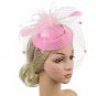 Rsslyn Retro Black Fascinators Hat Women Flower Mesh Sinamay Feathers Party Headwewar