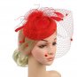 Rsslyn Retro Black Fascinators Hat Women Flower Mesh Sinamay Feathers Party Headwewar