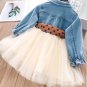 Rsslyn Cute Baby Girls Dress Spring Girls Dresses Flower Toddler Tutu Baby Girls Tulle Mesh Dress