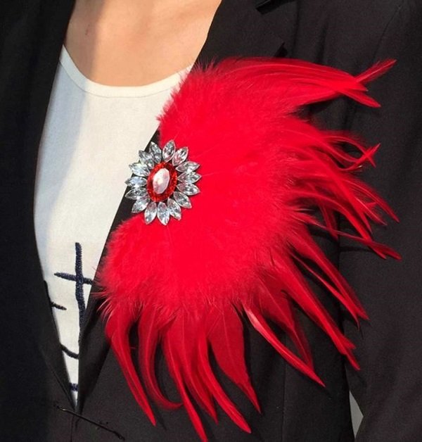Rsslyn Red Brooch Red Feather Crystal Corsage Brooch Pin For Man Women
