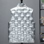 Rsslyn Silver Vest Men's Autumn Winter Shiny Vest Down Cotton S-6XL Vest Chalico for Boys LMF24-327
