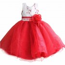 Rsslyn Girls Dresses Embroidered Flowers Christmas Outfit Birthday Dress 4 Layer Tutu Dress LMF24-56