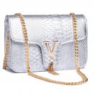 Rsslyn Silver Bags for Women Fashion Bags Fashion Purses for Women Golden Chain Bags LMF24-64
