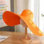 Fashion Hats Extra Large Wedding Hats Refreshing Casual Hats White Hats Single Straw Hats LMF24-69