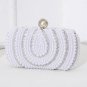 Rsslyn Black Clutch BAGS AND PURSES Luxury Bags Fashion Purse Black Handbags for Women LMF24-171