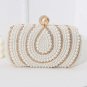 Rsslyn Black Clutch BAGS AND PURSES Luxury Bags Fashion Purse Black Handbags for Women LMF24-171