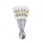 Rsslyn 5Pcs/Set Stainless Steel Spoon with Ceramic Handle Mini Spoons Tableware LMF24-194