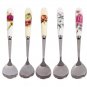 Rsslyn 5Pcs/Set Stainless Steel Spoon with Ceramic Handle Mini Spoons Tableware LMF24-194