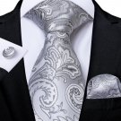 Rsslyn Silver Ties for Men Junior Senior Promenade Neckties for Boys 3pcs/SET Cufflinks LMF24-271