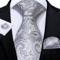 Rsslyn Silver Ties for Men Junior Senior Promenade Neckties for Boys 3pcs/SET Cufflinks LMF24-271