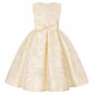 Rsslyn Silver Dress for Tween Girls Dress Formal Dresses Silver Dress for 9-10 Years Old LMF24-471