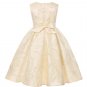 Rsslyn Silver Dress for Tween Girls Dress Formal Dresses Silver Dress for 9-10 Years Old LMF24-471