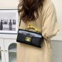 Rsslyn Golden Shoulder Bags Golden Leopard Handle Luxury Bags LMF24-514 Golden Clutch Bags