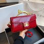 Rsslyn Golden Shoulder Bags Golden Leopard Handle Luxury Bags LMF24-514 Golden Clutch Bags
