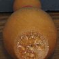 Early Bird Bowling League Wood Pin High Game 184 Trophy - 1973 Vintage 4"