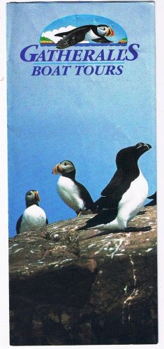 Newfoundland Gatherall's Boat Tours Icebergs Birds Whale Watching
