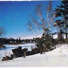 Southern Ontario Postcard Winter Scene In The Forests