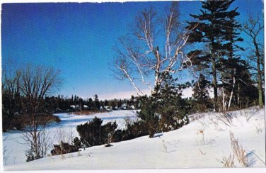 Southern Ontario Postcard Winter Scene In The Forests