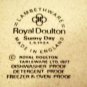 Royal Doulton Sunny Day Oval Serving Platter 13" Yellow Band