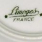 Limoges Fruit Pin Tray Butter Pat 4 3/4"