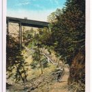 Watkins Glen New York Postcard Jacob's Ladder Curteich A-52134 1913