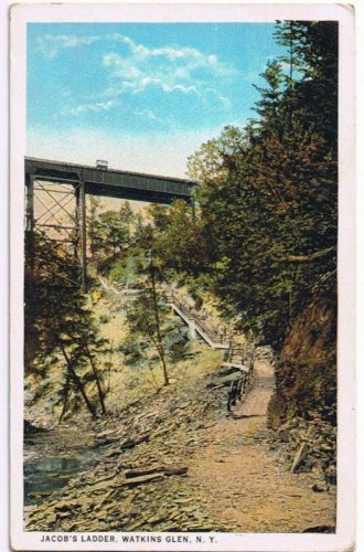 Watkins Glen New York Postcard Jacob's Ladder Curteich A-52134 1913