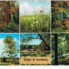 Luxemburg Postcard Multi View Forest Flowers