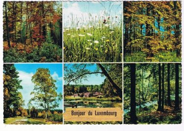 Luxemburg Postcard Multi View Forest Flowers