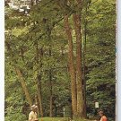 Arkansas Conoco Road Map 1965