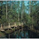 Georgia Postcard Waycross Okefenokee Swamp Park