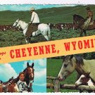 Wyoming Postcard  Greeting From Cheyenne Cowboys Cowgirls Horses Multi View