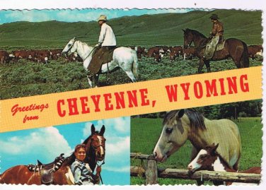 Wyoming Postcard  Greeting From Cheyenne Cowboys Cowgirls Horses Multi View