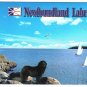 Newfoundland & Labrador Postcard Lighthouse Newfoundland Dog Sailboats