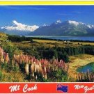 Mount Cook New Zealand Postcard Wild Lupins Lake Pukaki
