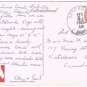 Pelicans Postcard Tropical Florida Sunshine State Curteich