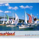 Auckland New Zealand Postcard Racing Yachts Harbour Bridge
