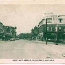 Dunville Ontario Postcard Chestnut Street Old Green White Print