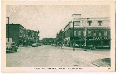 Dunville Ontario Postcard Chestnut Street Old Green White Print