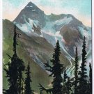 British Columbia Postcard Mount Sir Donald Glacier 1909 Bracebridge Postmark