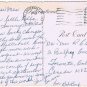 Curteich Florida Postcard Legend of the Spanish Moss Scalloped Edge