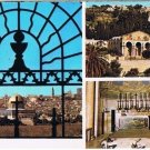 Israel Postcard Gethsemane with General View of Jerusalem Multi View