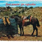 Arizona Postcard Man Horse At Water Tank Just Pausin Fer Refreshin