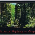 Oregon Postcard Fir Lined Highway