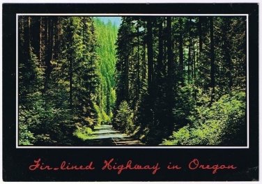 Oregon Postcard Fir Lined Highway