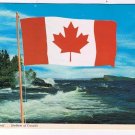 Ontario Postcard Maple Leaf Canadian Flag Ocean Shoreline