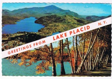 New York Postcard Lake Placid Greetings Dual View Whiteface Mt Mirror Lake